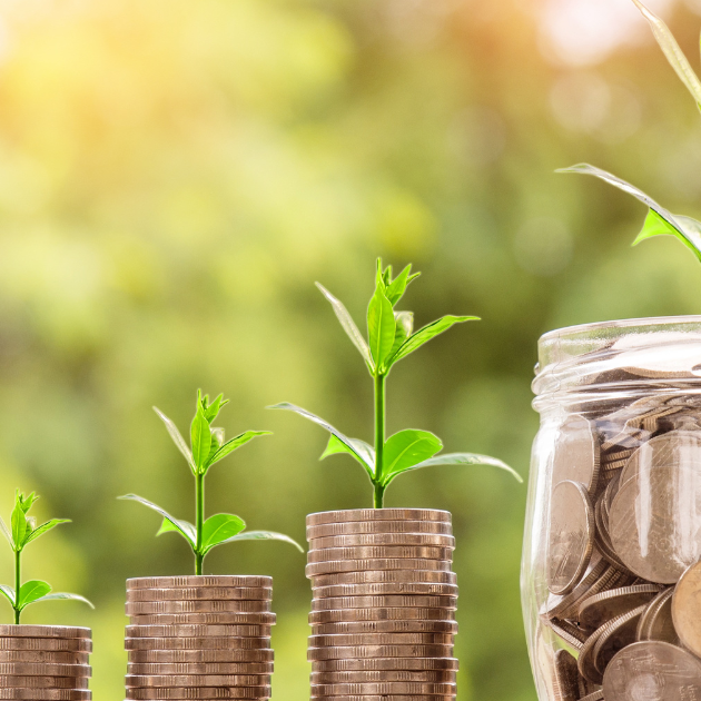 How Much Does It Cost To Start A Carpet Cleaning Business?